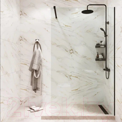 Душевая стенка Benetto BEN-602 BLC 110x200