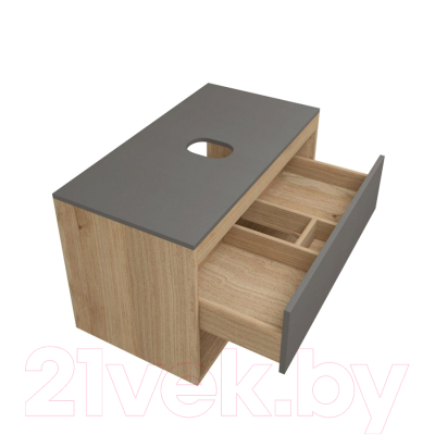 Тумба под умывальник Teymi Ritta 85 / T60532 (дуб эврика/графит матовый)