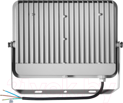 Прожектор IEK LPDO701-100-K03