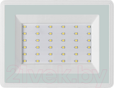 Прожектор IEK LPDO601-50-65-K01 - фото