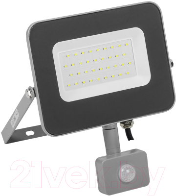 Прожектор IEK LPDO702-30-K03 - фото