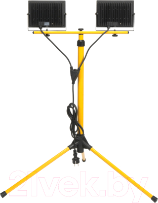 Прожектор IEK LPDO606-2X050-65-K02