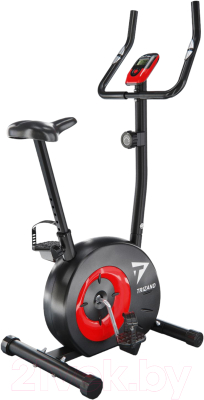 Велотренажер DFC Trizand B-JY8504 - фото