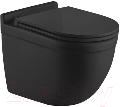 Унитаз подвесной WeltWasser Heimbach 043 MT-BL - фото