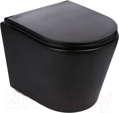 Унитаз подвесной WeltWasser Salzbach 043 MT-BL - фото