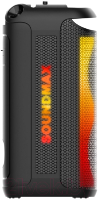 Портативная акустика SoundMax SM-MS4210