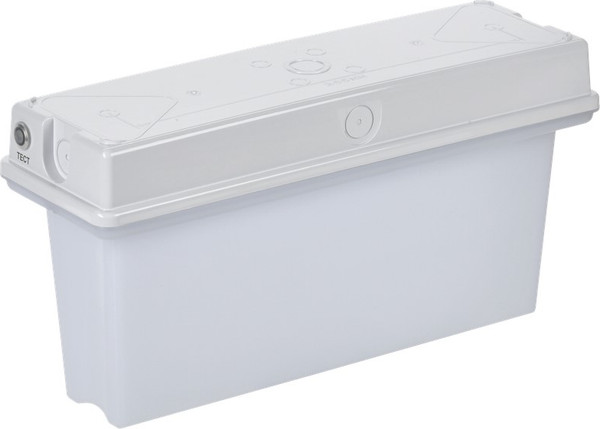 Светильник аварийный IEK LSSA1-1010-3-65-K01 - фото