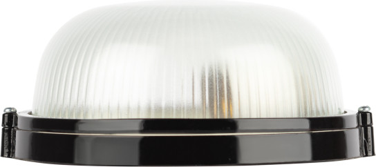 Светильник ЖКХ ЭРА Акватермо НБП 03-60-001 / Б0063905