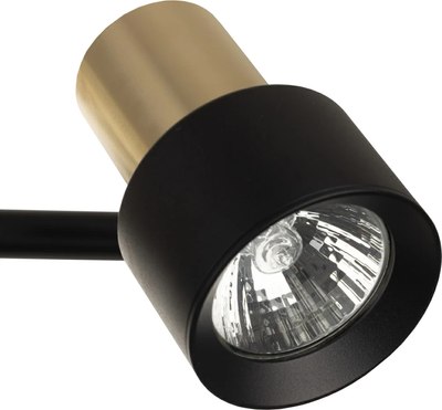 Спот Citilux SAT CL505641