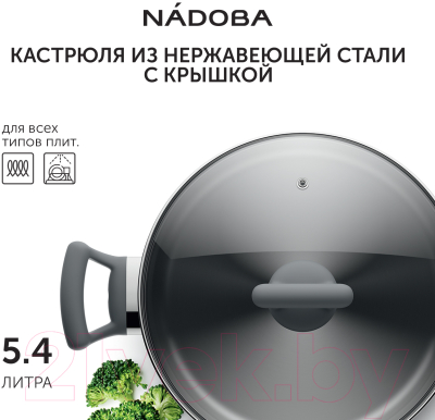 Кастрюля Nadoba Vikki 796111