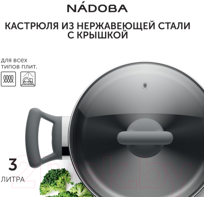 Кастрюля Nadoba Vikki 796112