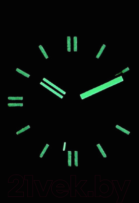 Часы наручные мужские Восток 14050Б