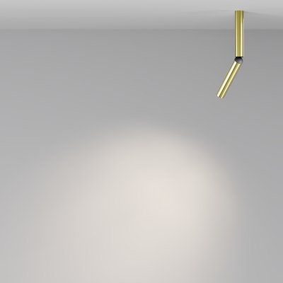 Потолочный светильник Maytoni Ceiling C142CL-6W4K-BS