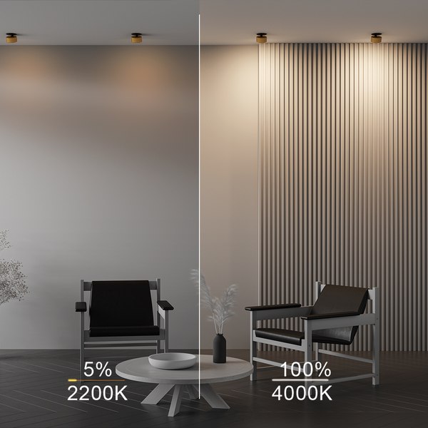 Точечный светильник Maytoni Downlight DL024-12W-DTW-BMG