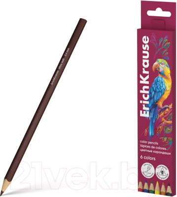 Набор цветных карандашей Erich Krause Safari / 61813