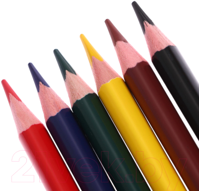 Набор цветных карандашей Erich Krause Safari / 61813