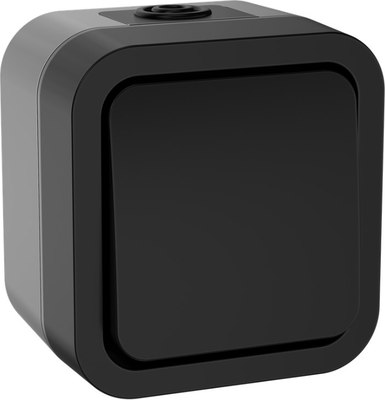 Выключатель IEK TS-V14-0-10-55-K53 - фото