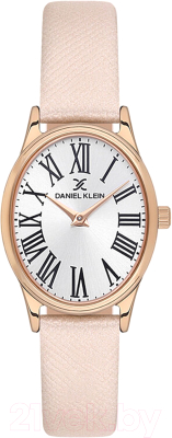Часы наручные женские Daniel Klein 13723-4 - фото