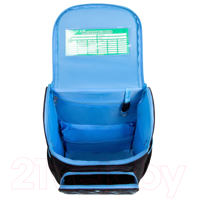 Школьный рюкзак Пифагор Basic. Angry Shark / 272044