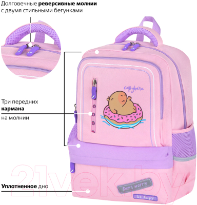 Школьный рюкзак Brauberg Star. Capybara / 272062