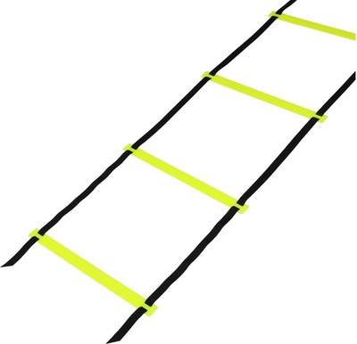 Координационная лестница Onlytop 9341602