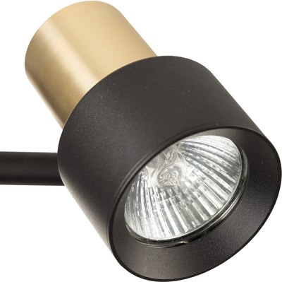 Спот Citilux SAT CL505621