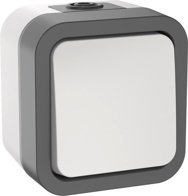 Выключатель IEK Tors TS-V14-0-10-55-K41 - фото