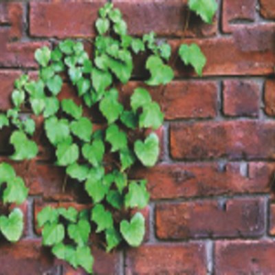 Пленка самоклеящаяся универсальная Hangzhou P6257 - фото