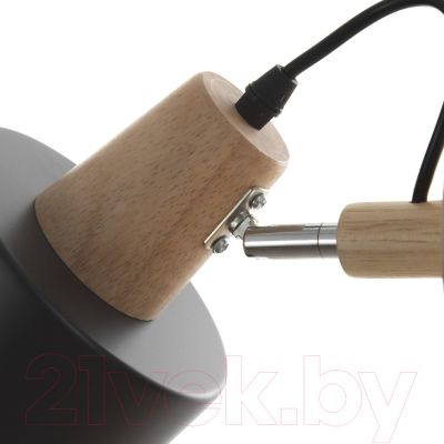 Спот BayerLux Бруни / 9916105