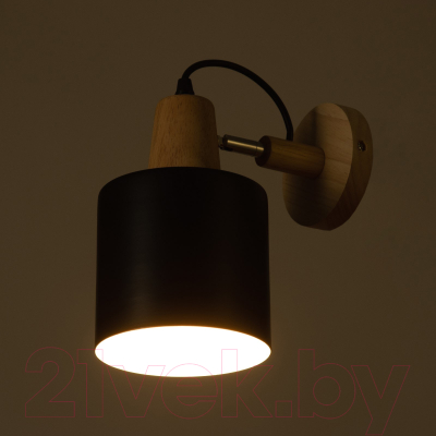 Спот BayerLux Бруни / 9916105