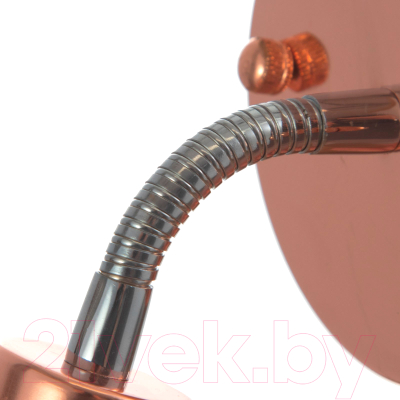 Спот BayerLux Шейни / 9291919