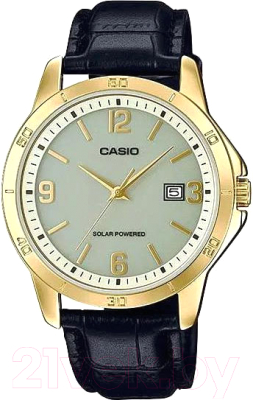 Часы наручные мужские Casio MTP-VS02GL-9A2 - фото