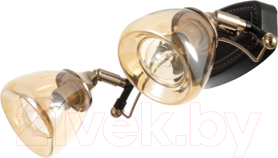 Спот BayerLux Солара / 9643965 - фото