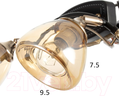 Спот BayerLux Солара / 9643965