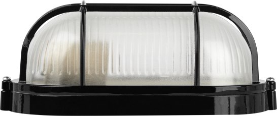 Светильник ЖКХ ЭРА Акватермо НБП 04-60-002 / Б0063898