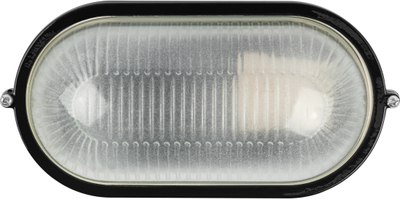 Светильник ЖКХ ЭРА Акватермо НБП 04-60-001 / Б0063879