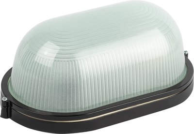 Светильник ЖКХ ЭРА Акватермо НБП 04-100-001 / Б0063863 - фото