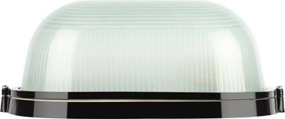 Светильник ЖКХ ЭРА Акватермо НБП 04-100-001 / Б0063863