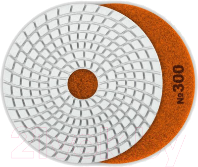 Шлифовальный круг Зубр 100мм №300 / 29866-300 - фото