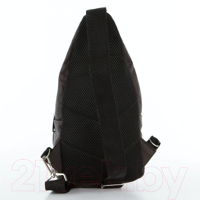 Рюкзак Ecotope 018-P3135-BRW