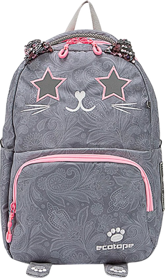 Школьный рюкзак Ecotope 183-2030152-GPK - фото
