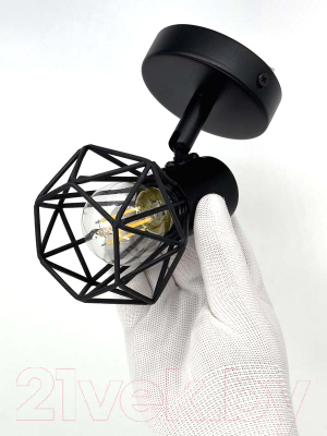 Спот Truenergy 21335