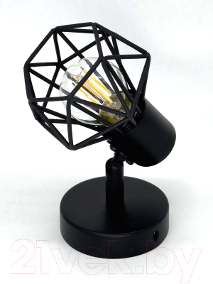 Спот Truenergy 21335