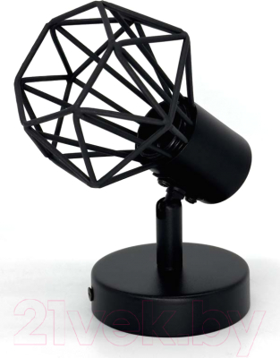 Спот Truenergy 21335