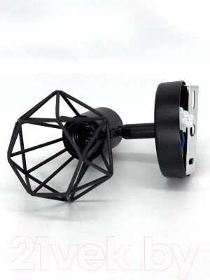 Спот Truenergy 21335