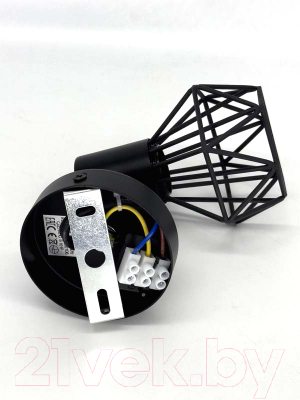 Спот Truenergy 21335