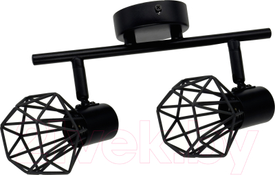 Спот Truenergy 21336 - фото