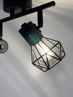 Спот Truenergy 21336