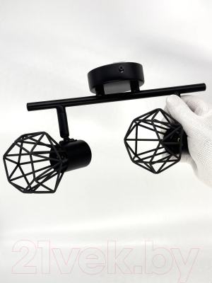 Спот Truenergy 21336