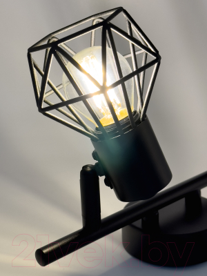 Спот Truenergy 21336